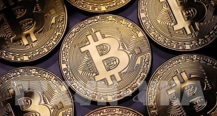 Bitcoin tăng giá, số lượng triệu phú tiền số tăng tới 95%