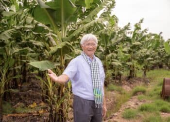 Doanh nhân Võ Quan Huy hành trình hơn 30 năm phủ xanh “Rừng hoang – Ruộng phèn”