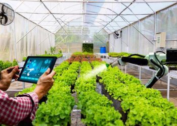 TP.HCM thúc đẩy khởi nghiệp, sáng tạo trong lĩnh vực nông nghiệp công nghệ cao