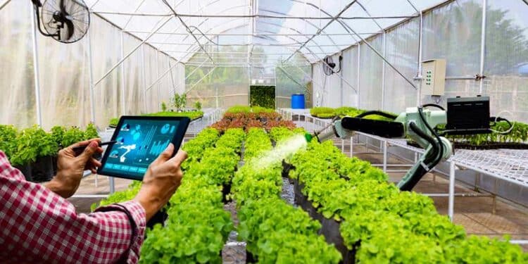 TP.HCM thúc đẩy khởi nghiệp, sáng tạo trong lĩnh vực nông nghiệp công nghệ cao