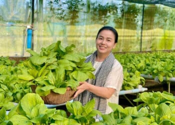 Hướng tới sản xuất nông nghiệp hữu cơ – Hướng đi bền vững cho nông dân