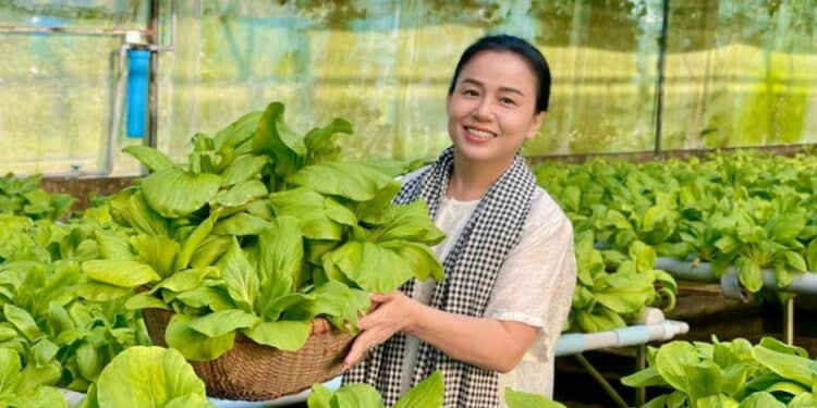 Hướng tới sản xuất nông nghiệp hữu cơ – Hướng đi bền vững cho nông dân