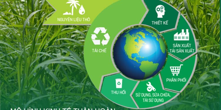 Việt Nam cần xây dựng hệ thống chính sách toàn diện, linh hoạt trong phát triển kinh tế tuần hoàn