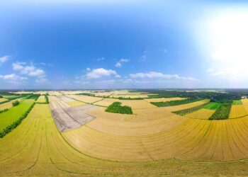 ĐBSCL: Mở đường cho ‘lúa’ và nông nghiệp là vai trò “bệ đỡ” của nền kinh tế