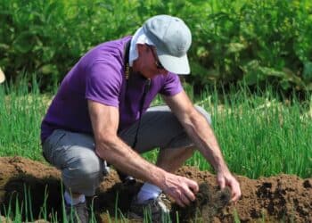 Việt Nam phát triển du lịch nông thôn theo phương châm “mỗi người dân là một đại sứ du lịch”- “mỗi địa phương – một sản phẩm du lịch đặc sắc”