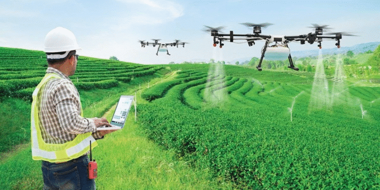 Ứng dụng AI để phục vụ con người