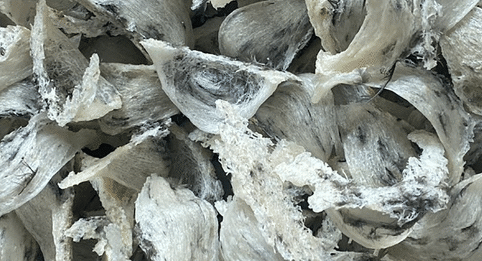 Hiệp hội VFAEA tham dự Hội nghị triển khai Nghị định thư về xuất khẩu tổ yến sang Trung Quốc