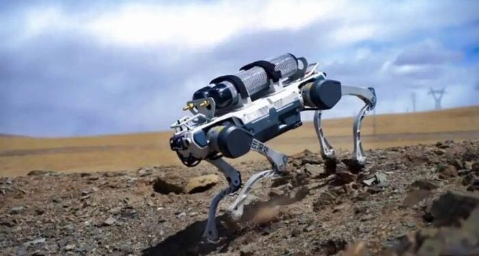 Robot chó xuất hiện dày đặc ở Singapore