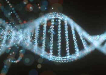 Các nhà khoa học Israel tìm ra bí quyết giúp kéo dài tuổi thọ