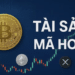 Vi phạm liên quan đến tài sản mã hóa có thể bị phạt tới 200 triệu đồng 
